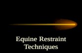 G  Equine Restraint