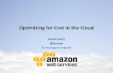 Optimizing for Costs in the Cloud