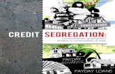 Credit segregation npa_report_v3