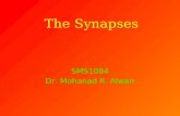 Lect 4-synapse-8-