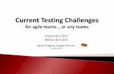 Current Testing Challenges Ireland
