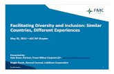 Facilitating Diversity and Inclusion: Similar Countries Different Experiences