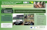 Combating Illegal Logging in Chiquibul