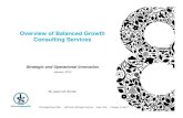 Balanced Growth Consulting Overview2010