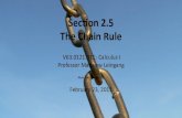 Lesson 10: The Chain Rule (slides)