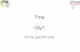 Hillel Shoken on The City for the Israeli Mayors Institute