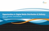 Opportunities in Digital Media Distribution & Delivery