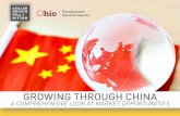 Growing Through China: A Comprehensive Look at Market Opportunities