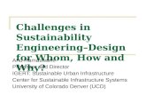 Challenges in Sustainability Engineering–Design for Whom, How and Why?