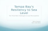 Resilient Tampa Bay
