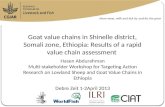 Goat value chains in Shinelle district, Somali zone, Ethiopia: Results of a rapid value chain assessment