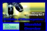 Microbial overview i