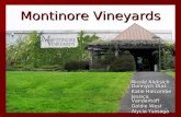 Montinore Estates Slide Show