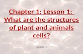 Ch.1.less.1. what are the structures of plant and animals cells