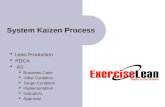 System Kaizen Process Feb 6 2011