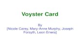 9bit4 Jalepeno hotshots - voyster card pitch presentation