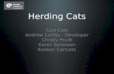 Concept: Herding Cats by Team: Cool Cats