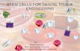 Stem cells for dental tissue engineering