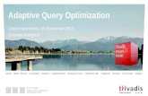 Adaptive Query Optimization