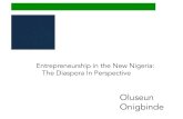 Entrepreneurship in the New Nigeria: The Diaspora In Perspective By Oluseun Onigbinde
