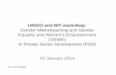 Unido Gender Mainstreaming Private Sector Development Training slides