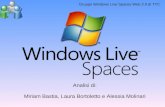Windows Live Space