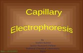 Capillary Electrophoresis by Sachin Kuhire