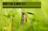 Don't be a Mayfly - and other mobile revenue insight