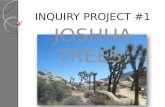 Educ373 Inquiry Project#1