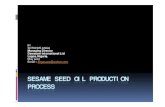 Sesame seed oil production process..ppt [compatibility m