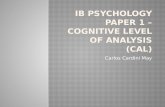 IB Psychology Paper 1 Cognitivel Level of Analysis