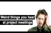 Weird things you hear at project meetings (Presentations)