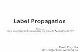 Label propagation - Semisupervised Learning with Applications to NLP