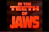 Jaws interview analysis