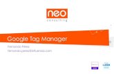 Google Tag Manager - Fernando Pérez - Analytics 21014