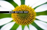What Matters Now 2