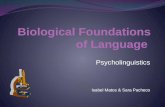 Biological foundations of language