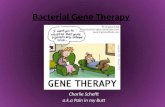 Bacterial gene therapy- by Charlie Schefft