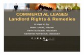Commercial Lease   Rights And Remedies   2009 Alberta