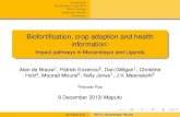 Biofortification, crop adoption and health information: Impact pathways in Mozambique and Uganda