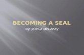 Becoming a seal