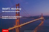 Workshop web rtc customers and use cases