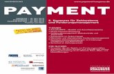 Payment 2010 - Announcement