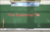 The Essential 55 Rules