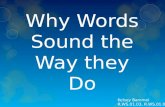 Why Words Sound the Way They Do