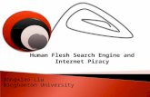 Internet search/HFSE