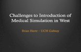 2012.07.02 Challenges to the Introduction of Medical Simulation