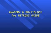 ANATOMY & PHYSIOLOGYfor NITROUS OXIDE