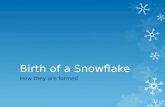 Birth of a snowflake 2