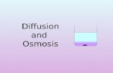 2.4  Diffusion And  Osmosis